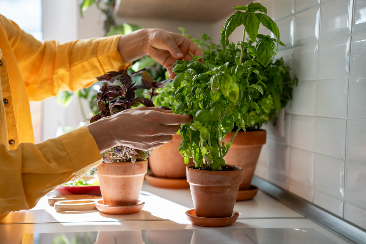 FOTO: iStock