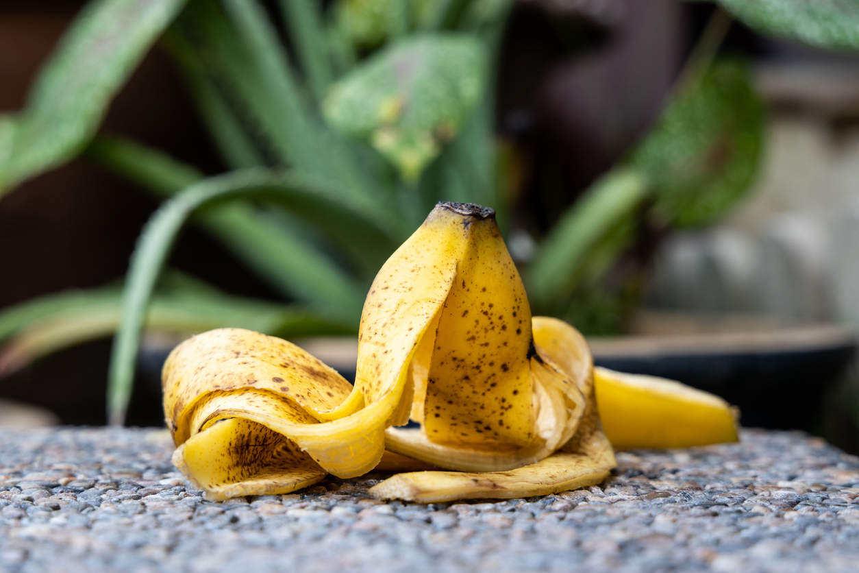 FOTO: iStock